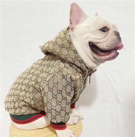 gucci dog raincoat|gucci dog jacket sale.